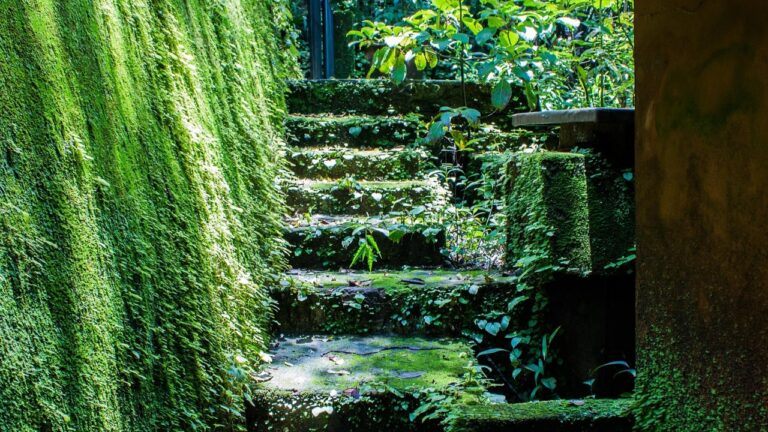 Future Series 第2回：グリーン社会とは何か – まだ誰も完全には体験していない世界